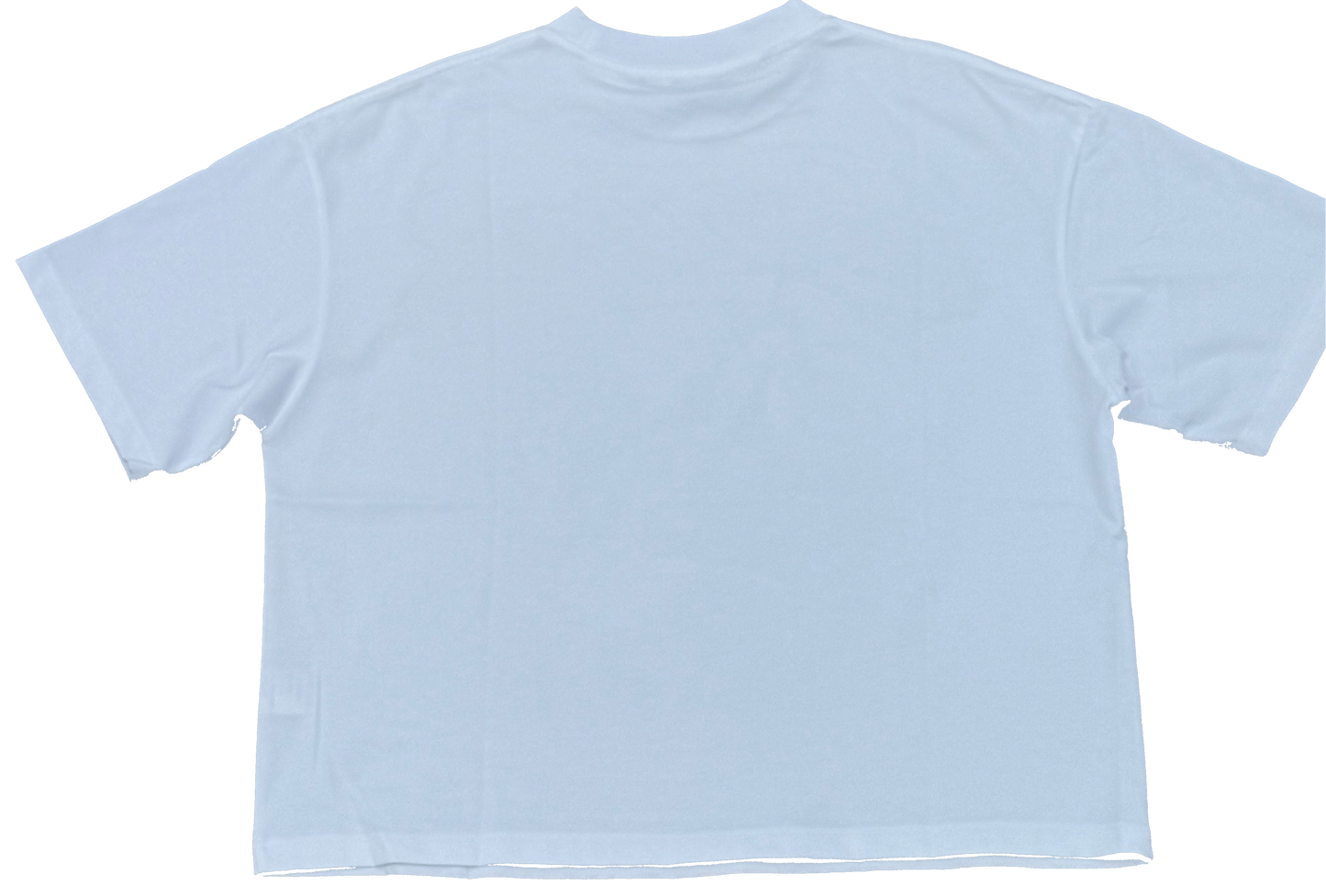 “PRAISE GOD” Tee